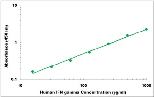 Human IFN gamma ELISA Kit