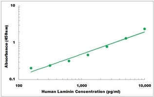 Human LAMA1 ELISA Kit