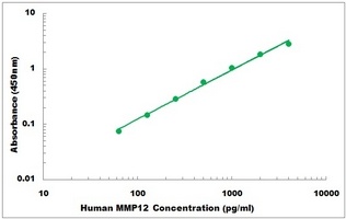 Human MMP12 ELISA Kit