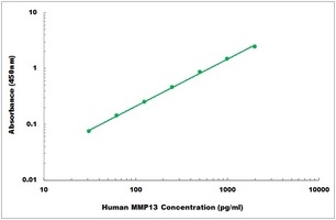 Human MMP13 ELISA Kit