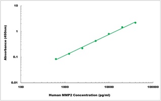 Human MMP2 ELISA Kit