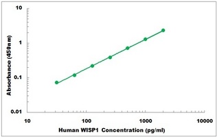 Human WISP1 ELISA Kit