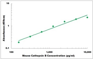 Mouse CTSB ELISA Kit