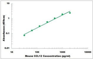 Mouse CCL12 ELISA Kit