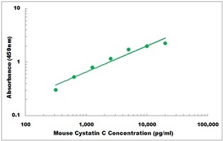 Mouse Cystatin C ELISA Kit