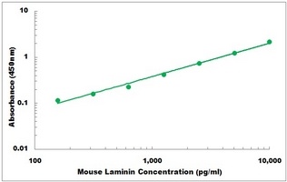 Mouse LAMA1 ELISA Kit