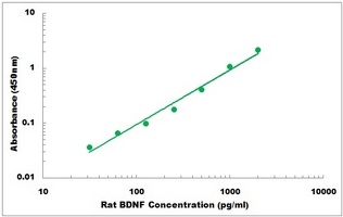 Rat BDNF ELISA Kit