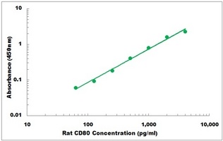 Rat CD80 ELISA Kit