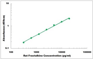 Rat CX3CL1 ELISA Kit