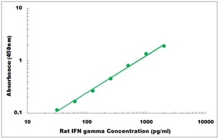 Rat IFN gamma ELISA Kit