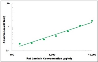 Rat LAMB2 ELISA Kit