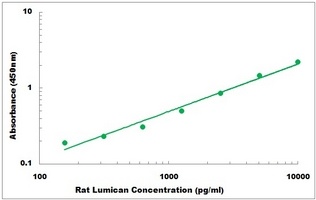 Rat LUM ELISA Kit