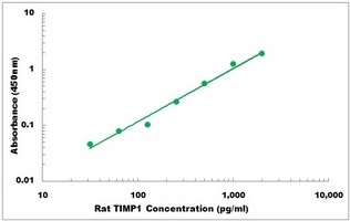 Rat TIMP1 ELISA Kit