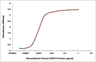 Human CD274 protein