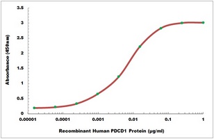 Human PD1 protein
