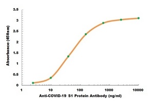 COVID-19 S1 protein antibody