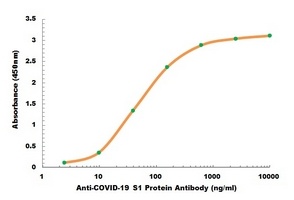 Anti-COVID-19 S1 Protein Antibody