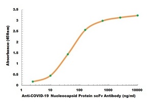 Anti-COVID-19 Nucleocapsid Protein scFv Antibody