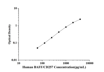 Human BAFF/CD257(B-Cell Activating Factor) ELISA Kit