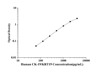 Human Cytokeratin 19 (CK-19/KRT19) ELISA Kit