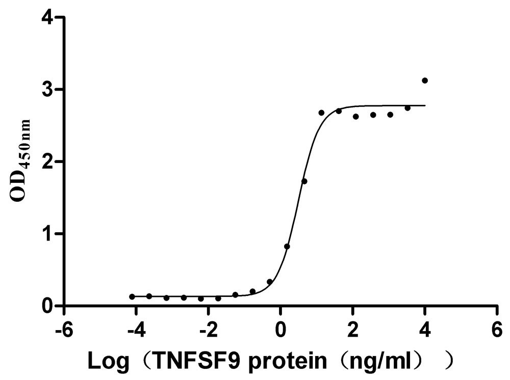 Recombinant Human Tumor necrosis factor ligand superfamily member 9 (TNFSF9), partial (Active)