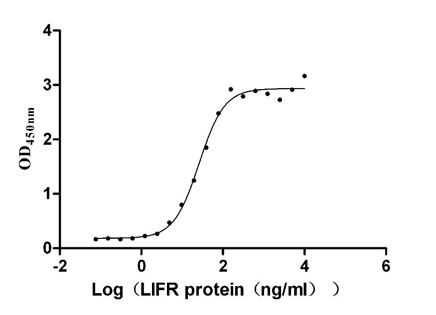 Recombinant Human Leukemia inhibitory factor (LIF) (Active)