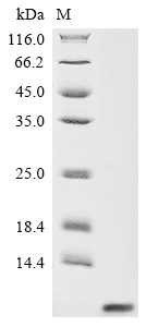 Recombinant Enterovirus A71 Genome polyprotein, partial