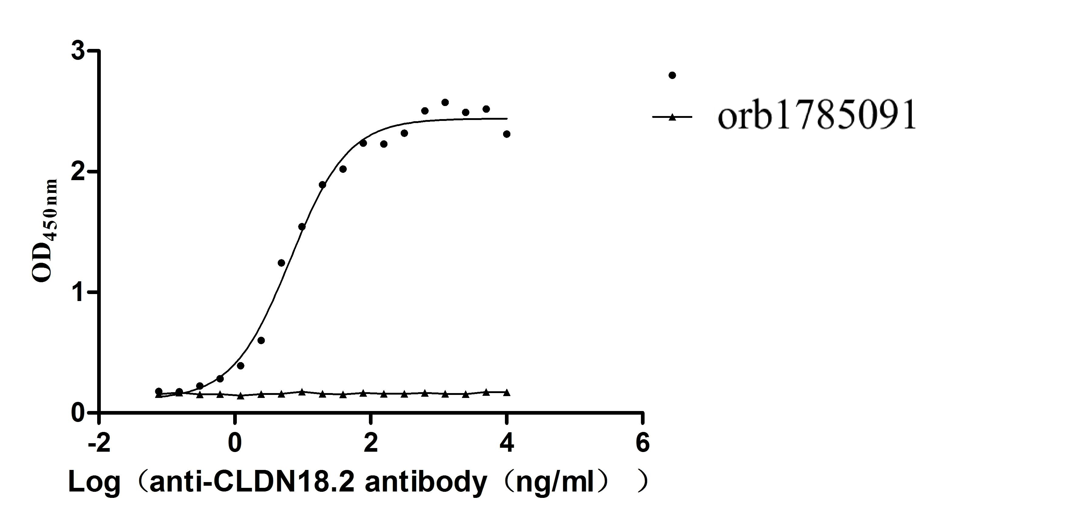 Recombinant Human Claudin-18.2 (CLDN18.2)-VLPs, Fluorescent (Active)