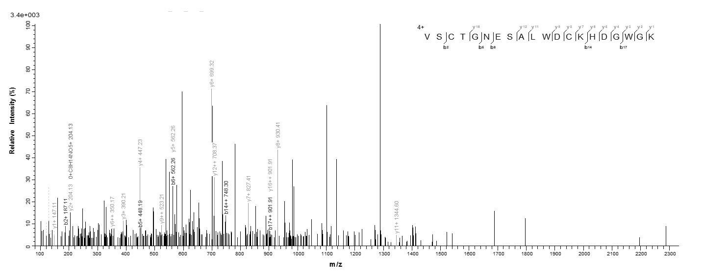 Mouse Cd163 protein