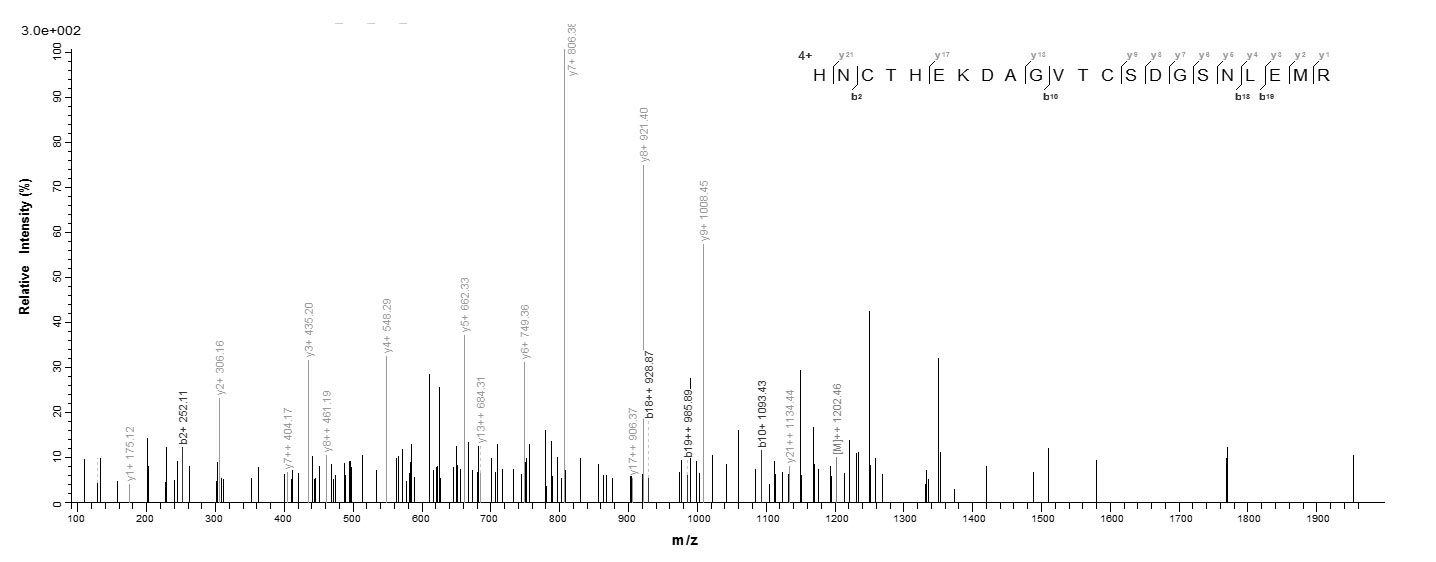 Mouse Cd163 protein