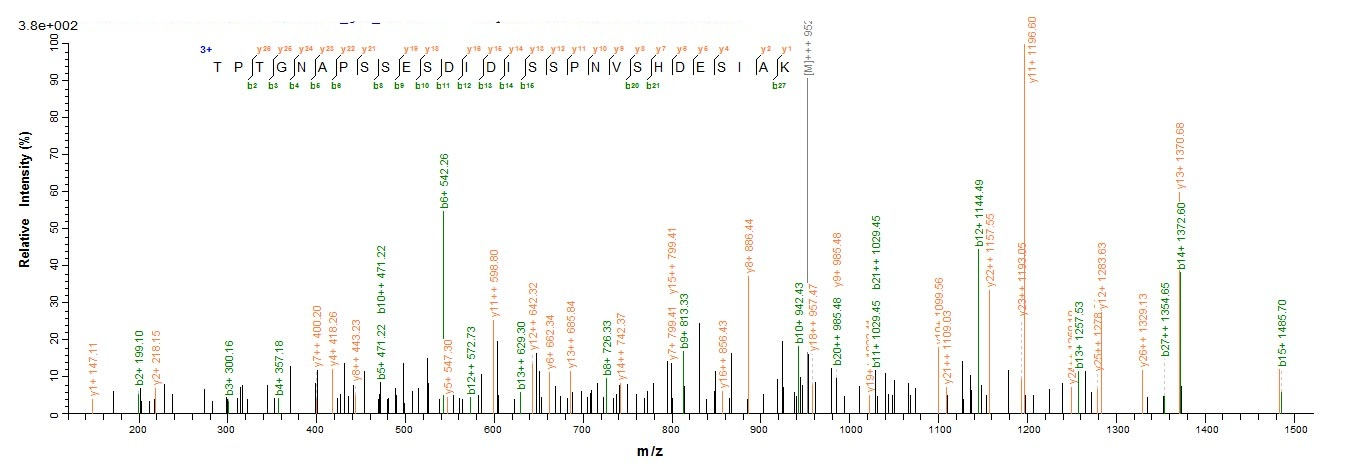 Human HBO1 protein