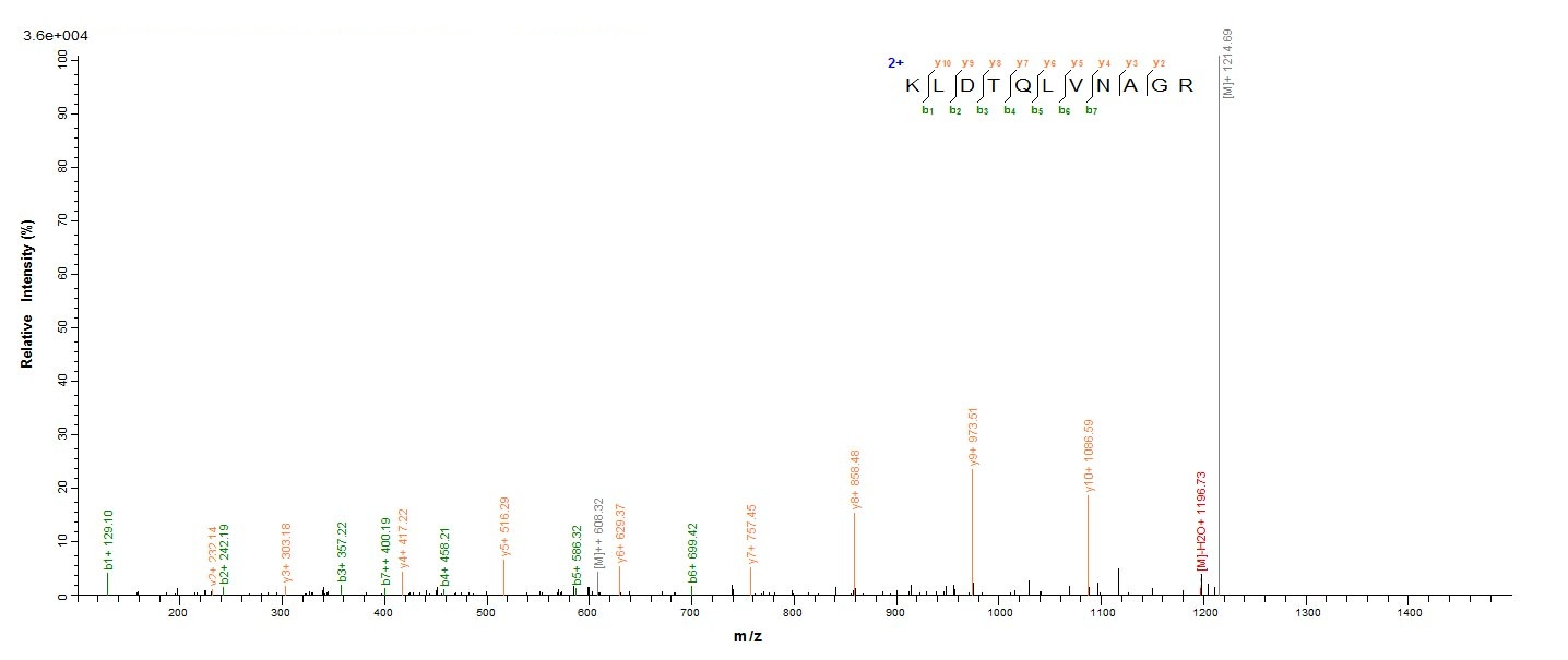 E. coli metC protein