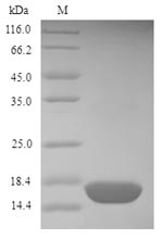 Plant Profilin protein