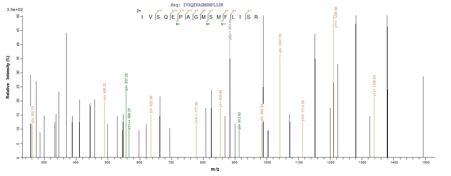 Mouse Dsg3 protein