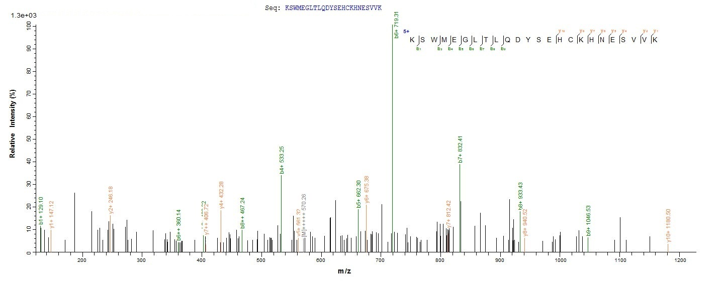 Human PSMD14 protein
