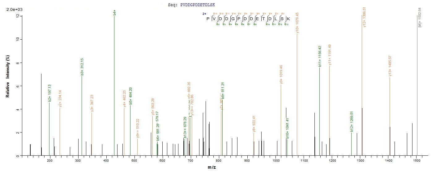 Virus PS/HR protein