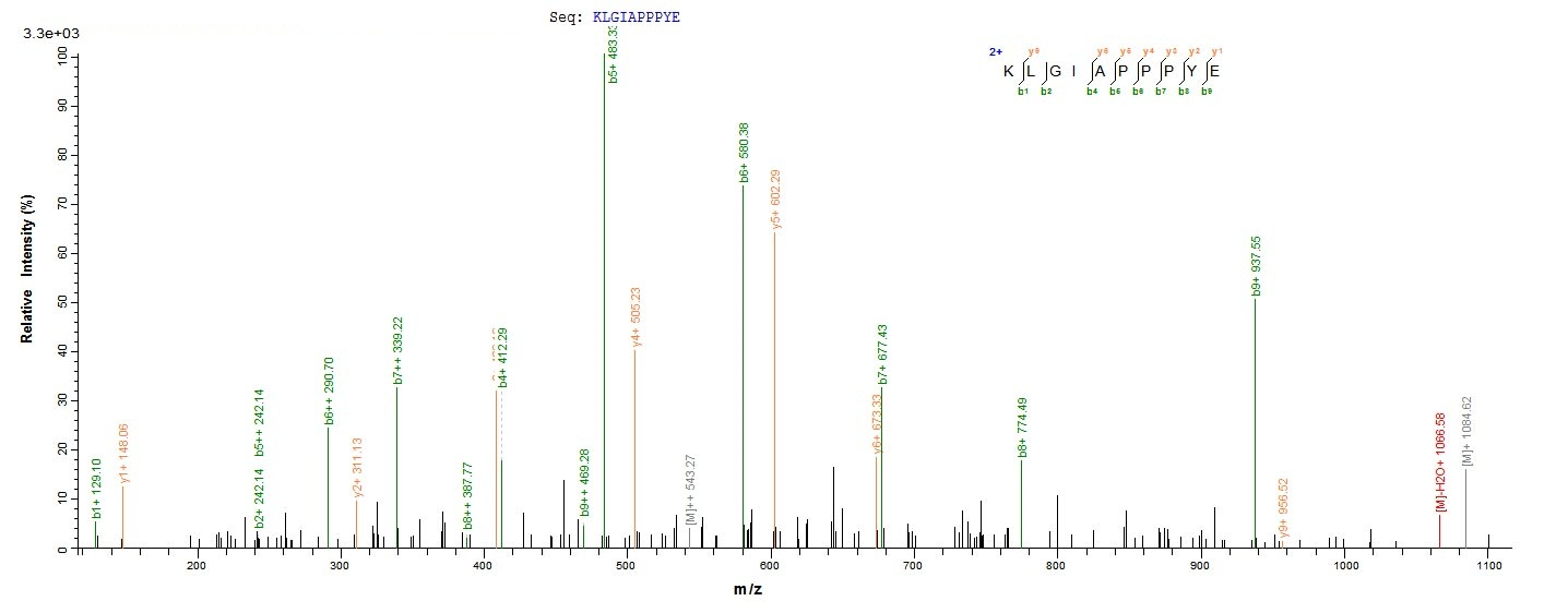 Virus M protein