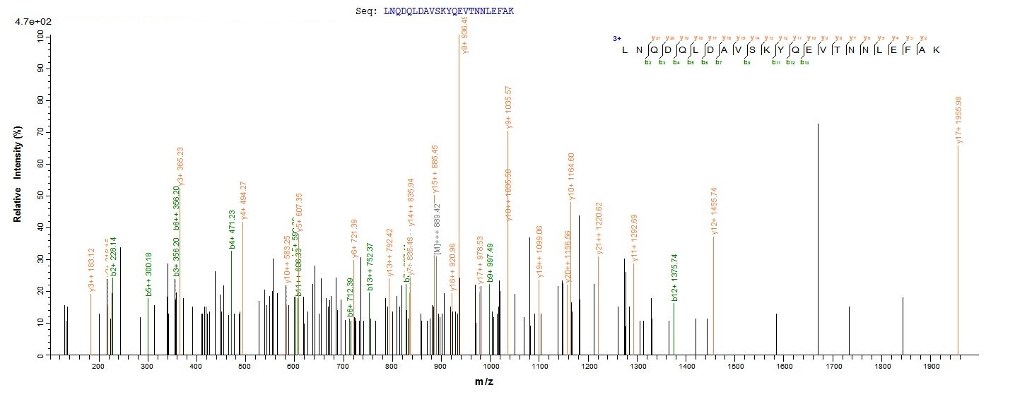 Human CAPRIN1 protein