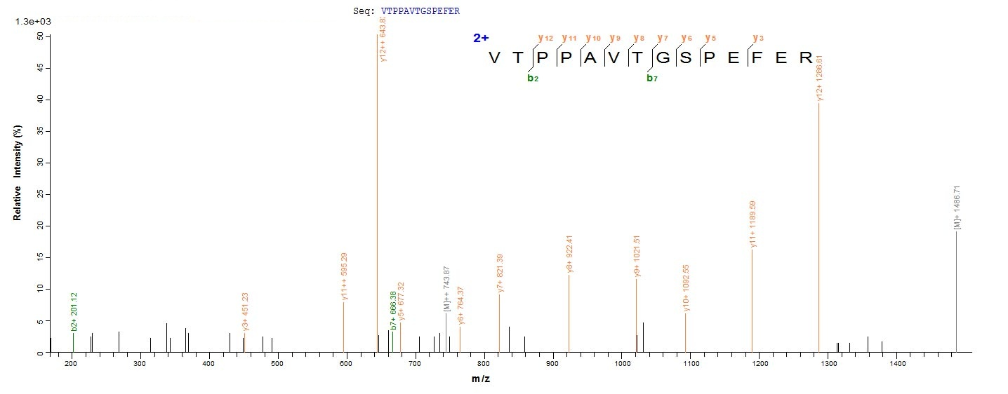 Human MGST2 protein