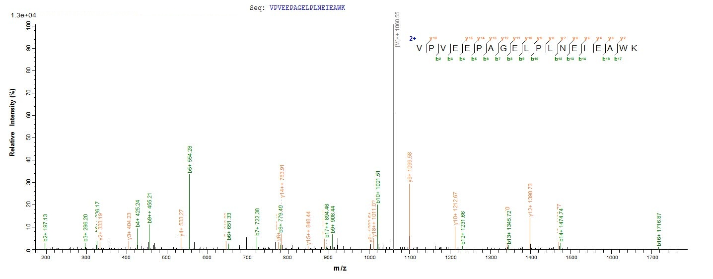 Mouse Pld3 protein