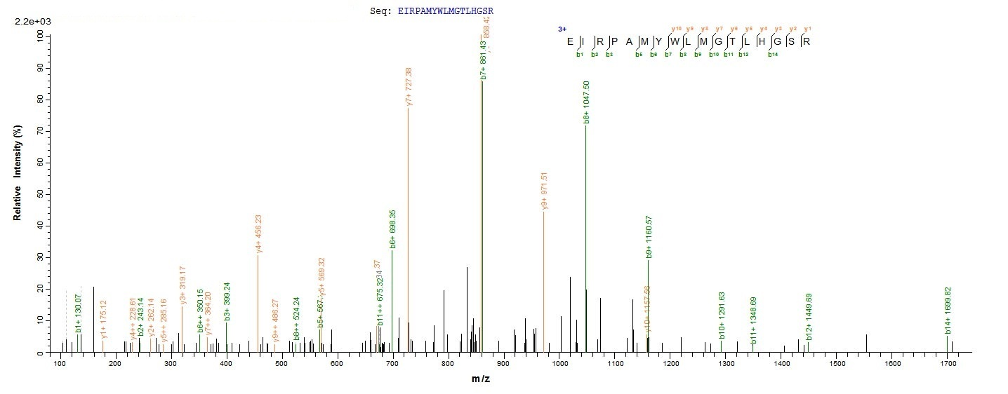 Bacteria btuC protein