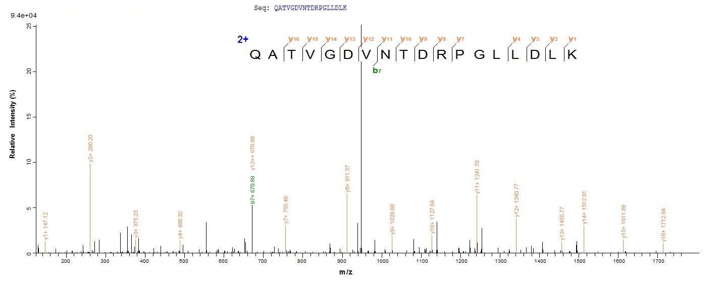 Mouse Dbi protein