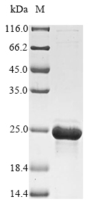 Bacteria Actinia equina DELTA-actitoxin-Aeq1a protein