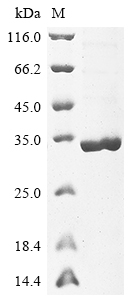 Plant IAA17 protein
