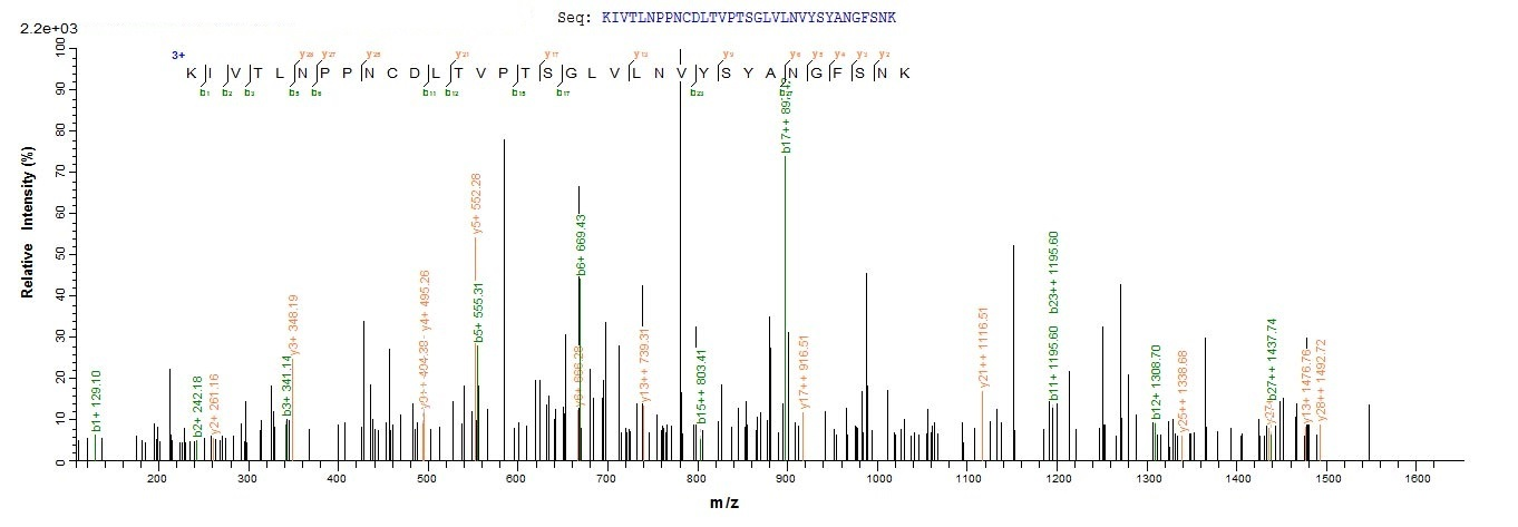 Plant Phytophthora cryptogea Beta-elicitin cryptogein protein