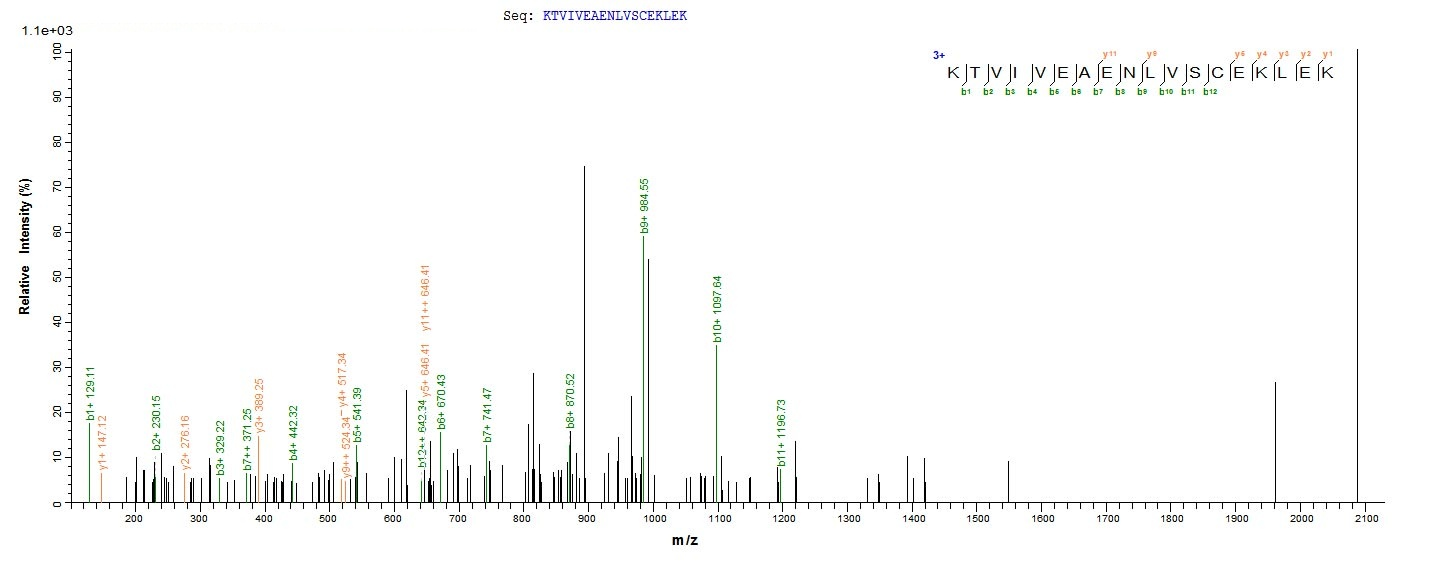 Bacteria ctfA protein