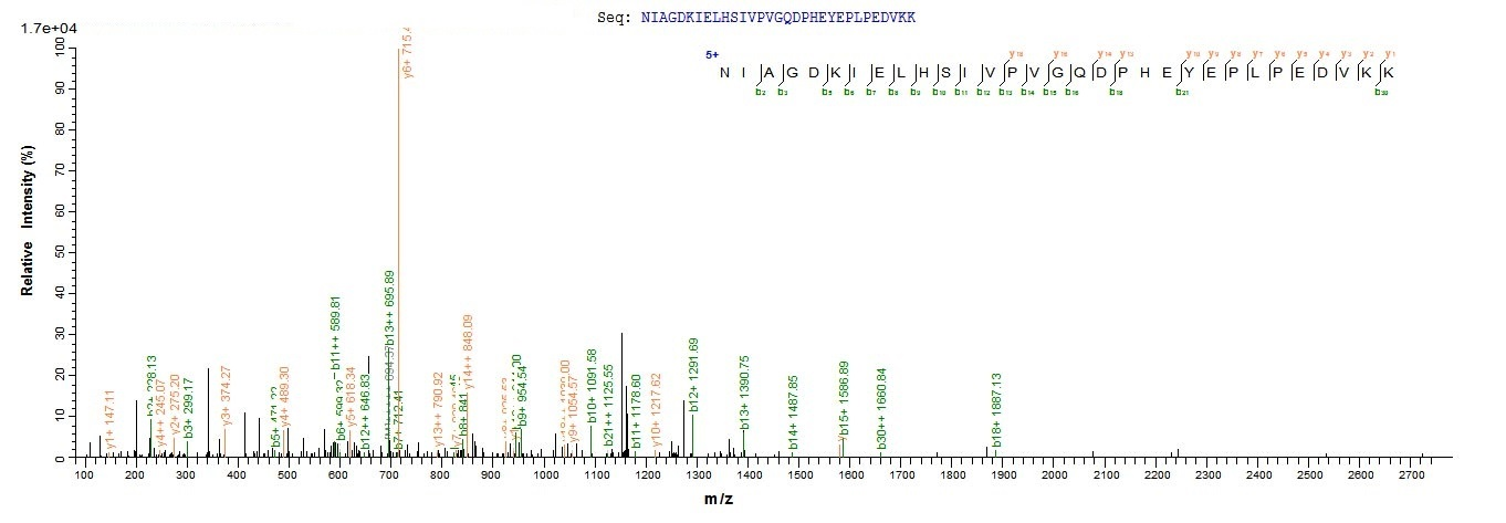 Bacteria psaA protein
