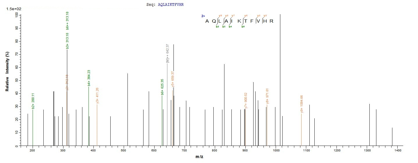 E. coli tdcD protein