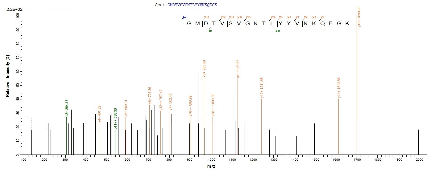 Virus F protein
