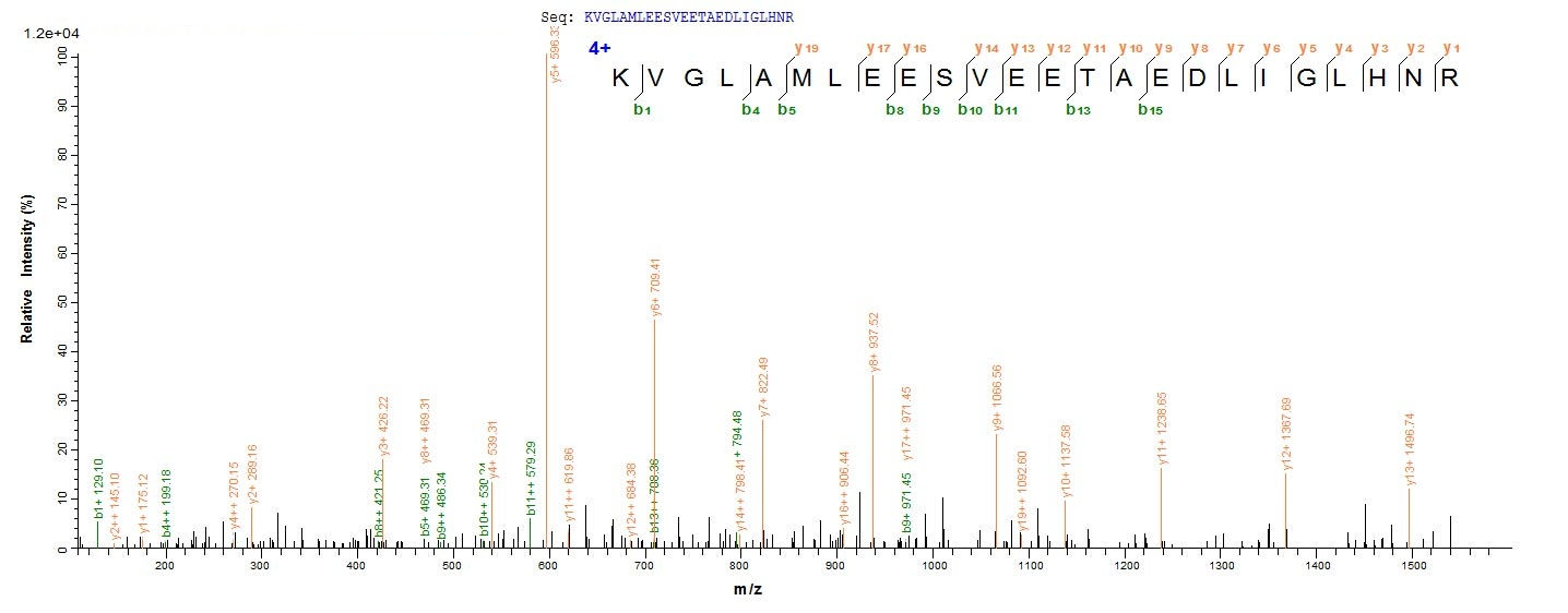 Bacteria Trichosanthes kirilowii Ribosome-inactivating protein alpha-trichosanthin protein